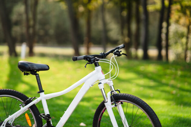 季节白色的自行车站在公园里晨练 孤独自行车自行车脾气