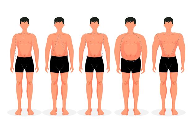 身体类型平面手绘型的男性体型分类平面身体形状