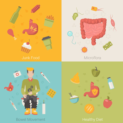 平面健康平胃肠道肠道器官载体概念垃圾食品微生物群排便饮食营养素食食物