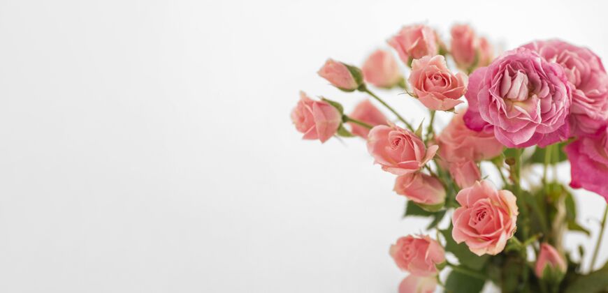 花朵桌上放着玫瑰花的花瓶花朵花朵春天