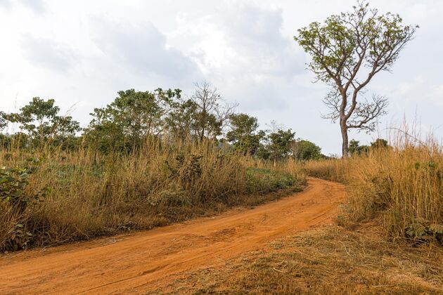 非洲非洲自然风光 有小径和植被道路户外场景