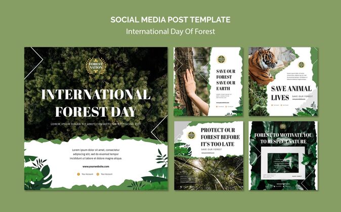 社会媒体帖子Instagram发布了森林与自然日的集锦包装Instagram帖子自然