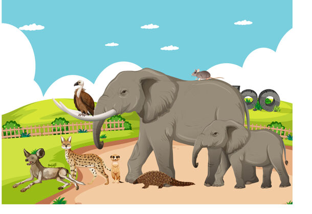 动物园动物园里一群非洲野生动物的场景稀树草原野外非洲