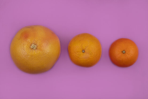粉色粉红色背景上的葡萄柚和橙子食物橘子水果