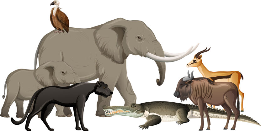 斑马一群白色背景的非洲野生动物捕食者森林卡通