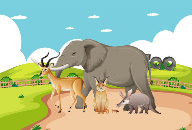 生活动物园里一群非洲野生动物的场景狩猎树野生动物