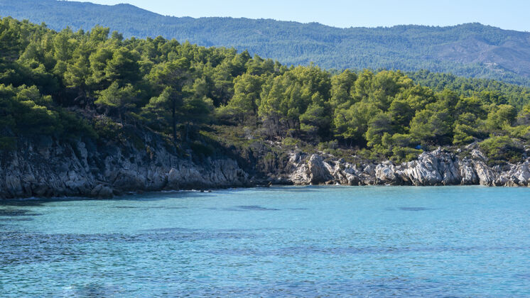 爱琴海爱琴海沿岸绿树成荫 岩石 灌木和树木 蓝色的海水 希腊山海洋观点