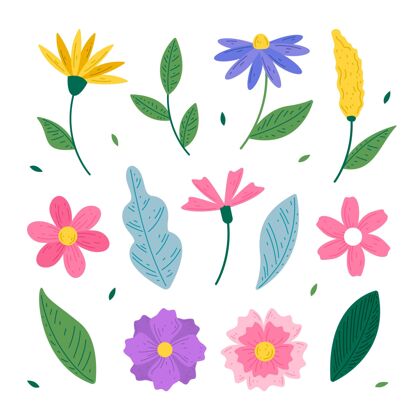 花卉手绘春花系列包装五颜六色设置