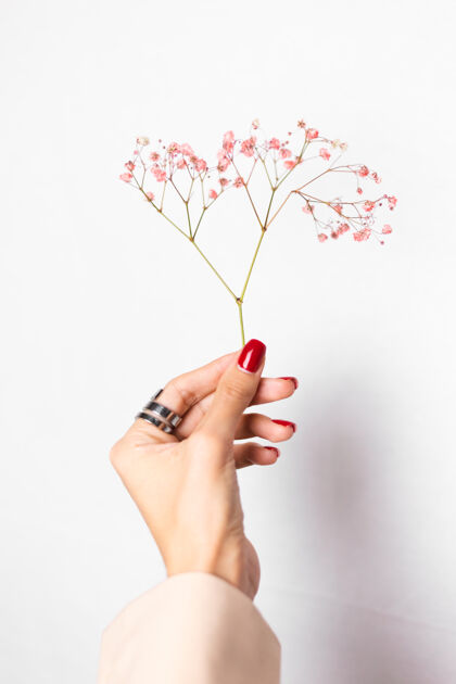 博客柔美温柔的照片 女人手上戴着大戒指 红色的指甲 手上拿着可爱的粉色干花自然园艺美甲