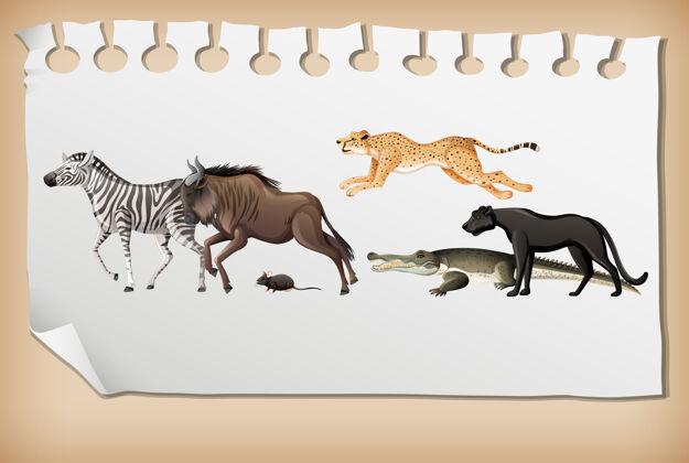 稀树草原一群非洲野生动物在纸上森林生活空白