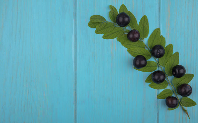 甜点顶视图复制空间甜樱桃树枝上的叶子上的青绿色背景食物水果顶部