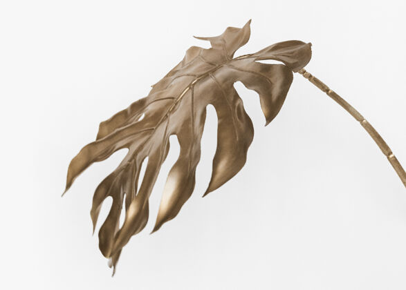 树叶金色的怪物在白色的模型上有一片叶子表面装饰叶