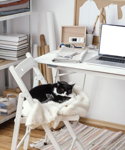 工作室带笔记本电脑和猫的裁缝工作室裁缝衣服缝纫