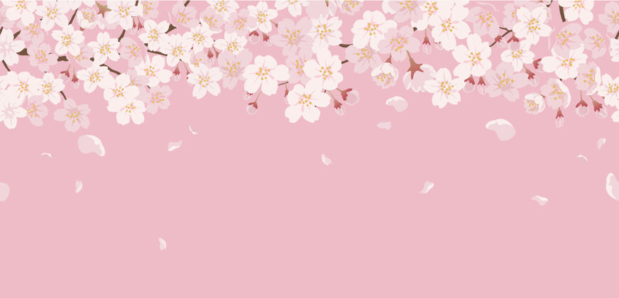 日本无缝花卉与樱花盛开的粉红色花植物传统