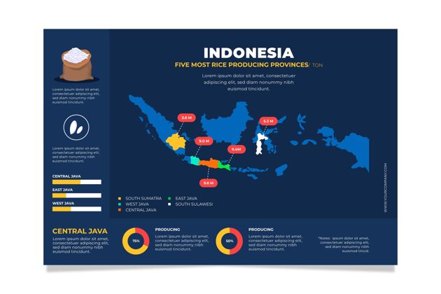 图表印尼地图信息平面设计信息图表信息图
