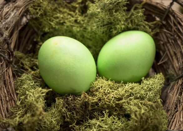 多彩绿色的复活节彩蛋和草地食物鸡肉颜色