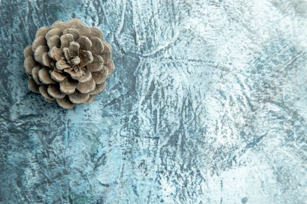 冷顶视图松果在黑暗的表面复制空间松果表面珊瑚