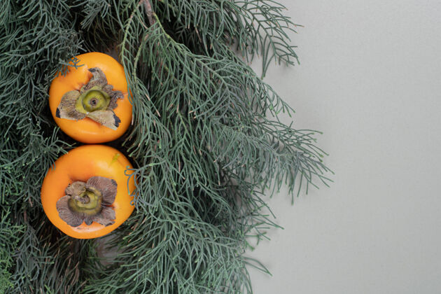 柿子两个新鲜的柿子放在圣诞树枝上多汁甜点美味