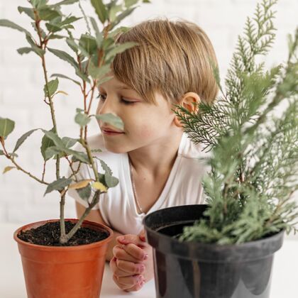 自然小男孩看着两个盛着植物的花盆园艺农业儿子