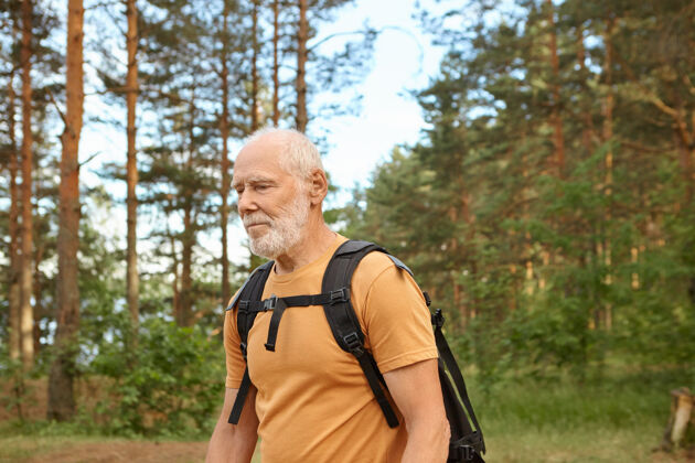 徒步旅行徒步旅行 徒步旅行和冒险的概念腰上的形象 英俊精力充沛的高级男子与胡茬背包在森林中独自摆在松树 携带黑色背包背老金领取者老年人