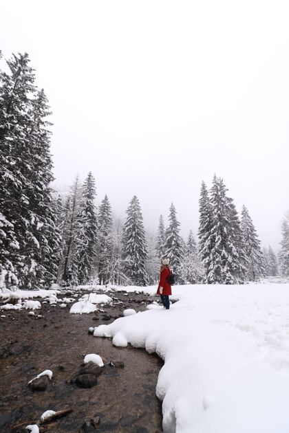场景一个穿着红色外套的人站在冬天被树和雪覆盖的田野里的垂直镜头雾步行白天
