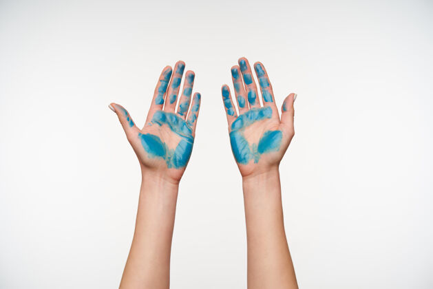 绘画女士的手涂上蓝色的前视图被举起 同时演示手掌 摆在白色的姿势人类的手概念提升手臂信号