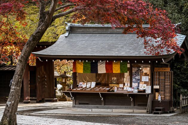 水平有斜树的日本寺庙结构建筑建筑