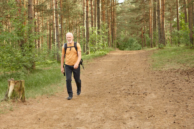 冒险在温暖的秋日里 孤独的老人漫步在松林中满脸胡须的欧洲男性徒步老人穿着旅行服 背着背包 独自在山林中背包远足背包徒步旅行