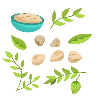食品鹰嘴豆和植物插图植物营养食品