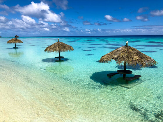 岛屿法卡拉瓦泻湖的沙滩伞云椰子热带