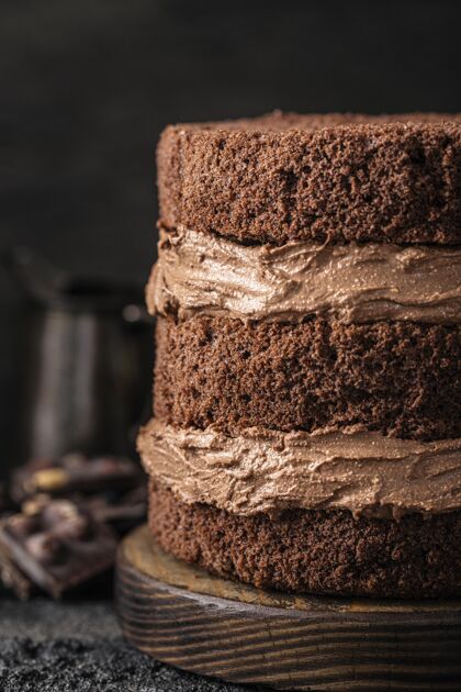 烹饪美味巧克力蛋糕概念正面图美味美食美味