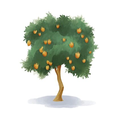 营养芒果树与水果水彩健康饮食芒果