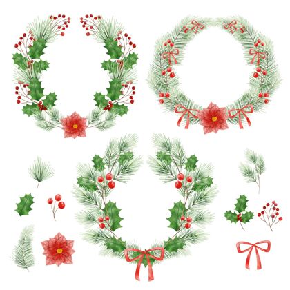 装饰水彩圣诞花和花环收集装饰花圈装饰