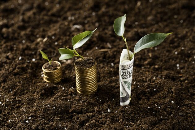 金钱高角度的植物和硬币堆在泥土和钞票上横向财富储蓄