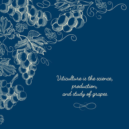 蓝色天然葡萄栽培手绘模板优雅甜美花卉