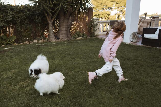 感情女孩和狗在奔跑和玩耍狗快乐狗