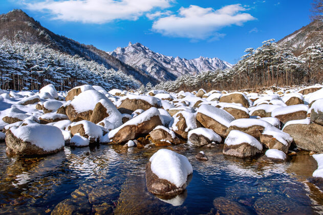 雪韩国的雪山在冬天被雪覆盖冰雪雾