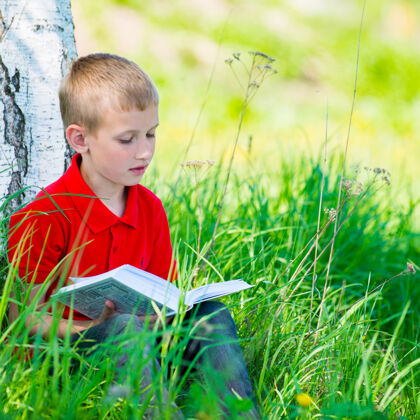 男孩小学生在大自然读书聪明孩子水平