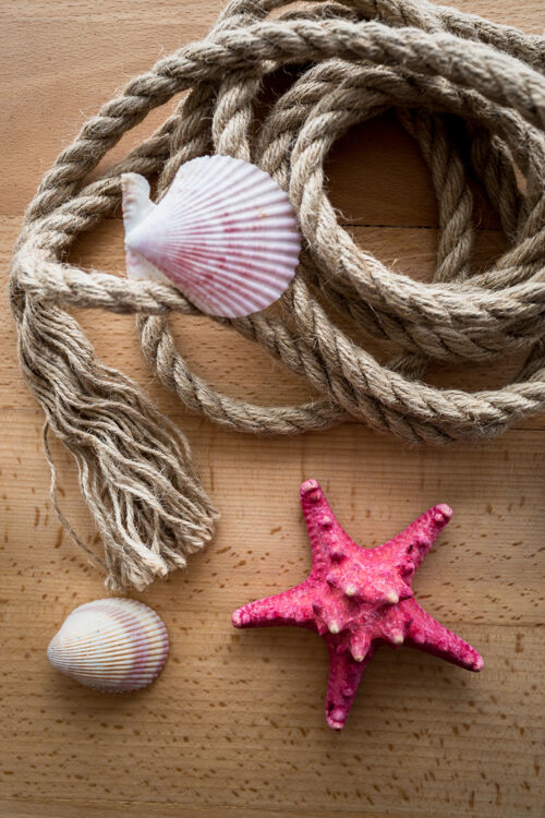 海滩特写镜头从旧的海上绳索和贝壳顶部躺在木甲板上表面绳子自然