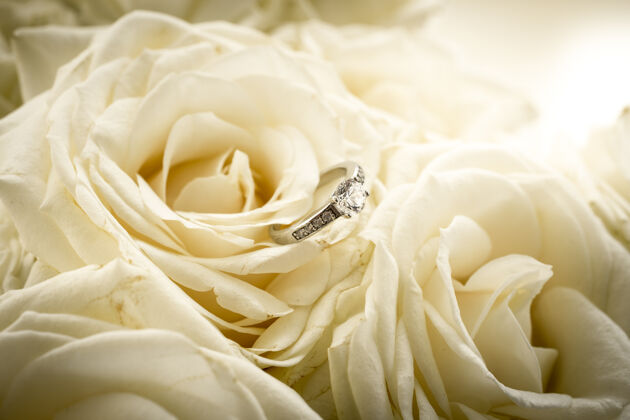 色调特写镜头美丽的订婚戒指与钻石躺在白玫瑰想法宝石仪式