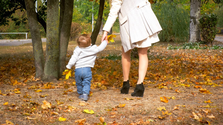 树可爱的小男孩牵着妈妈的手 在秋天的森林或公园里迈出了第一步乐趣为人父母年轻
