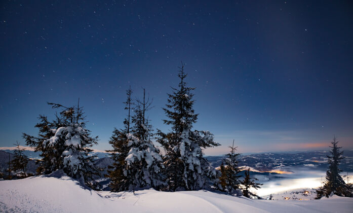 山迷人的夜景雪杉树生长在雪堆美丽的北方自然概念北极光概念岩石冬天环境