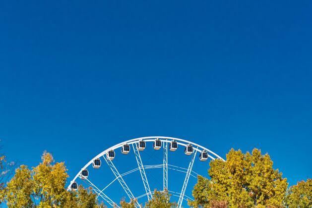 外部特写镜头的摩天轮附近的树木下一个蓝色的晴朗的天空高透视钢铁