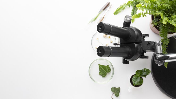 教育顶视图植物和显微镜框架植被分类环境