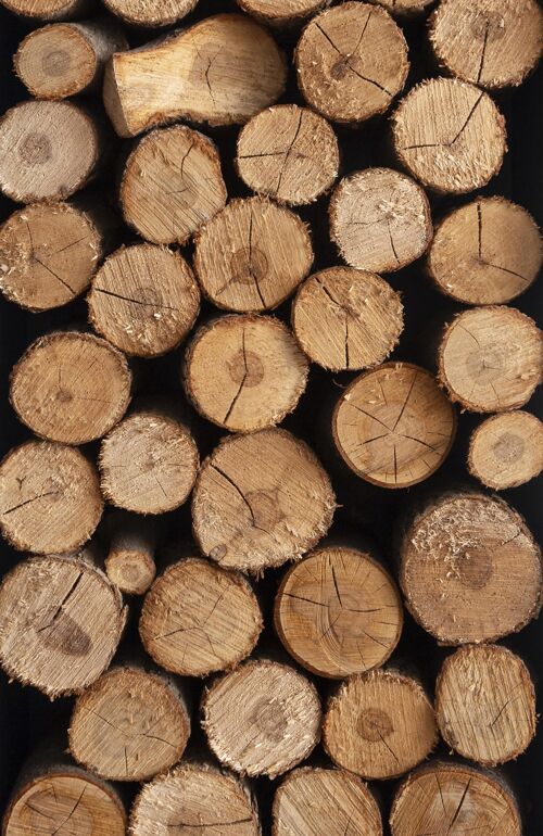 布局木材布局概念的正视图材料木材正面视图