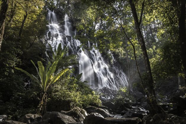 溪流瀑布穿过树木环绕的森林木头自然景观