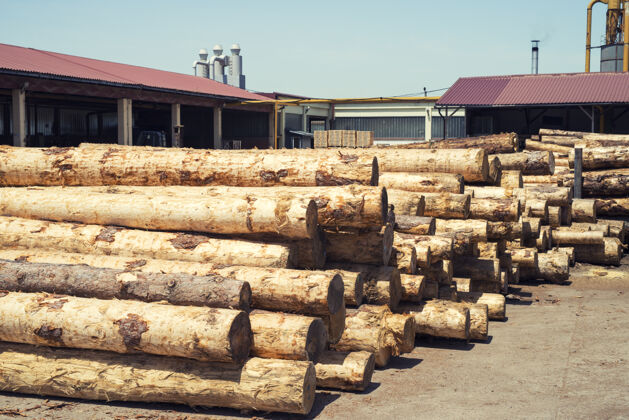 堆放工业木材加工厂 树干随时可砍锯木厂球团产品