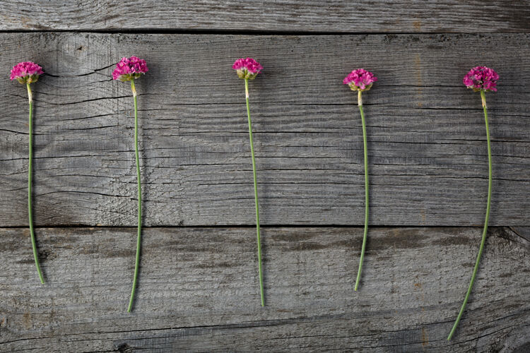 开花在旧木板的背景上开着一朵盛开的红花背景自然花瓣